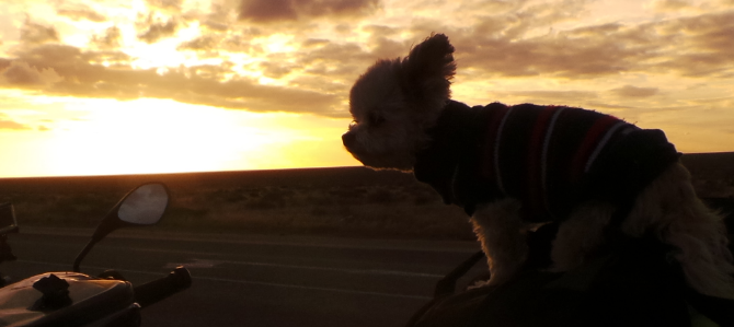 Sunset on the Nullabor