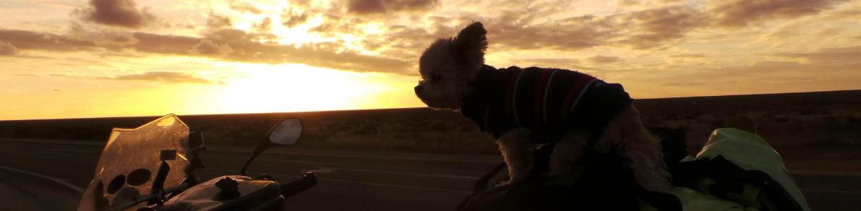 cropped-cropped-Sunset-on-the-Nullarbor.png