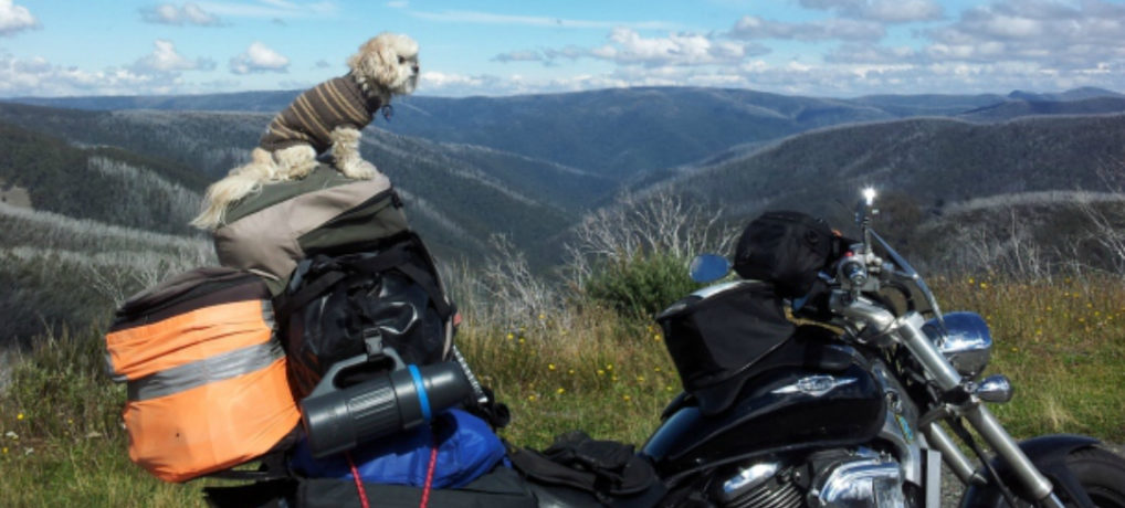 Chloe’s Australian Rides